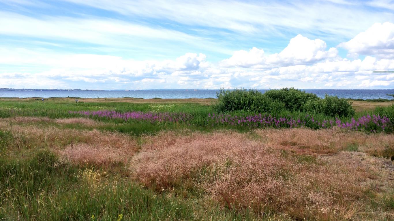 Sommar på Sundsgården